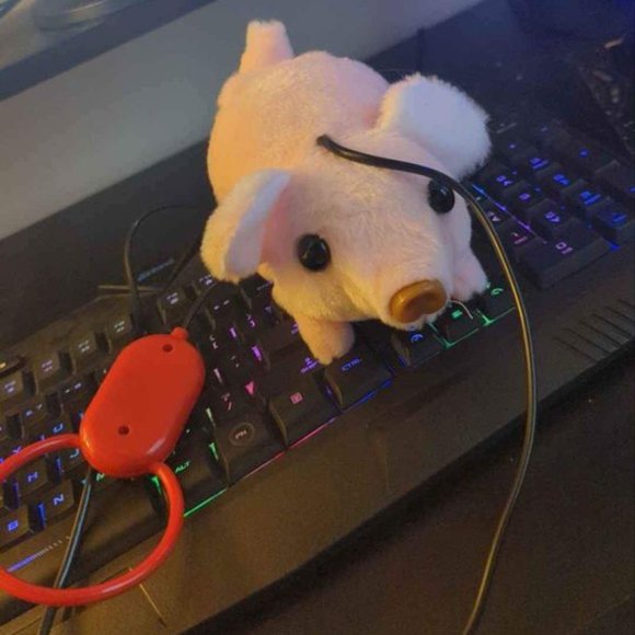 Kids toy walking pig battery powered - Picture 1 of 1